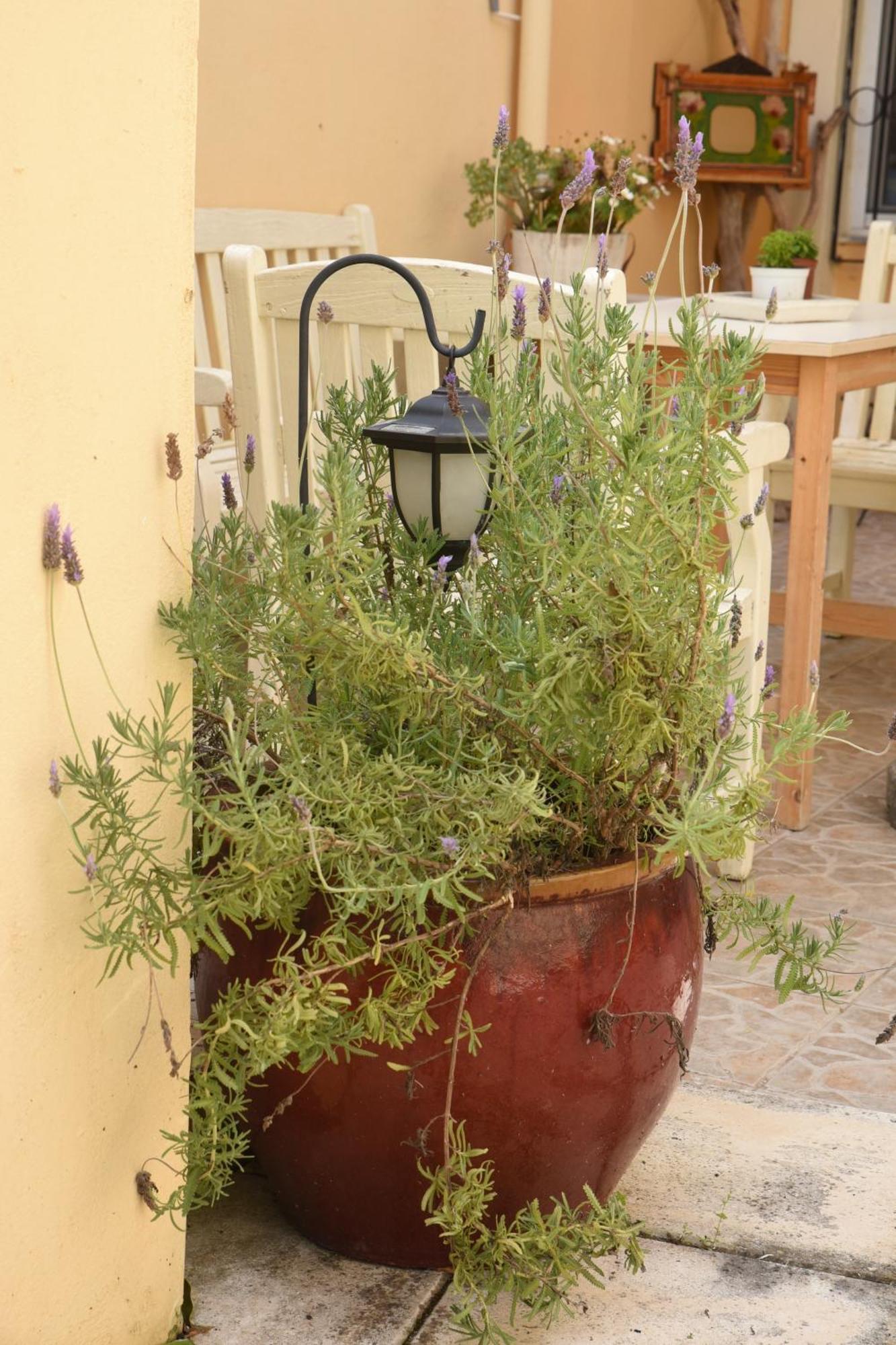 Maxim In Corfu Town Apartment